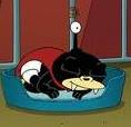 Avatar de Usuario
