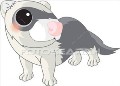 Avatar de Usuario