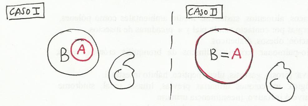ParteDelante.jpg