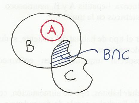 ParteDelante2.jpg