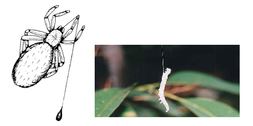 SingleThread.png